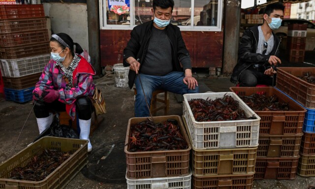 image: Wuhan-markedene sliter: – Det er ingen tvil. Vi er dømt til undergang i år